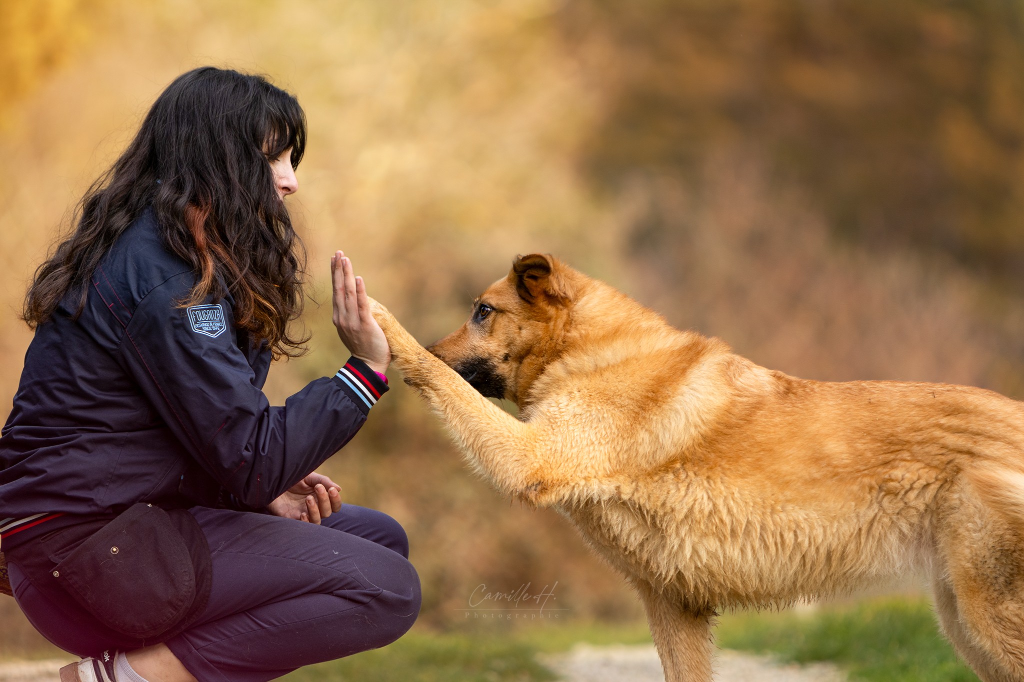 bilan-comportemental-chien-marseille