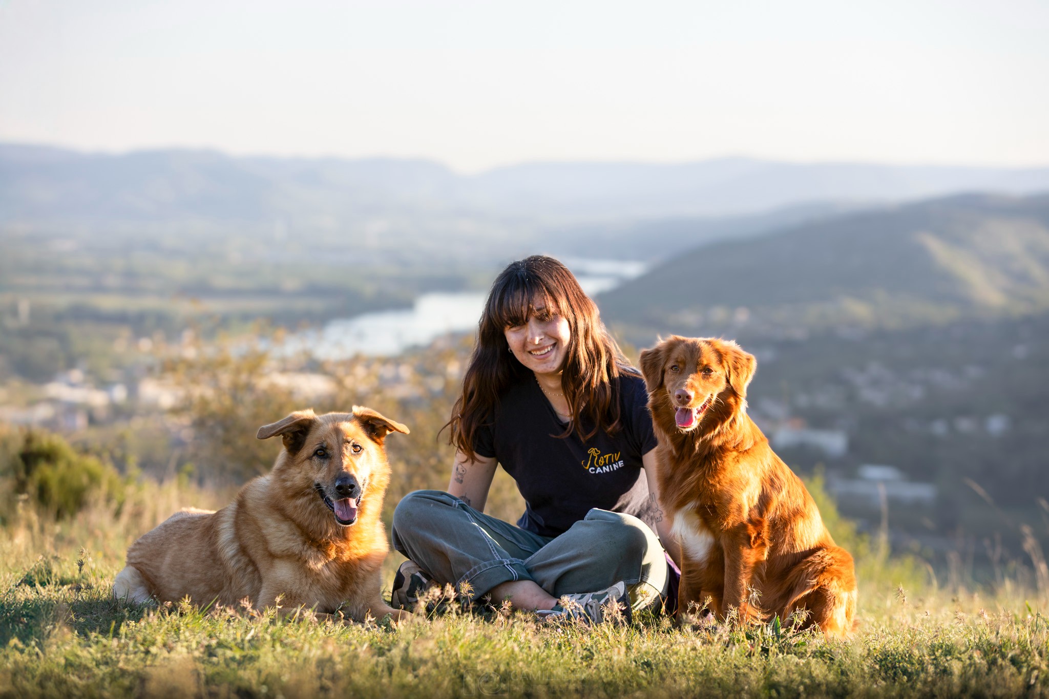bilan-comportemental-chien-simiane-collongue