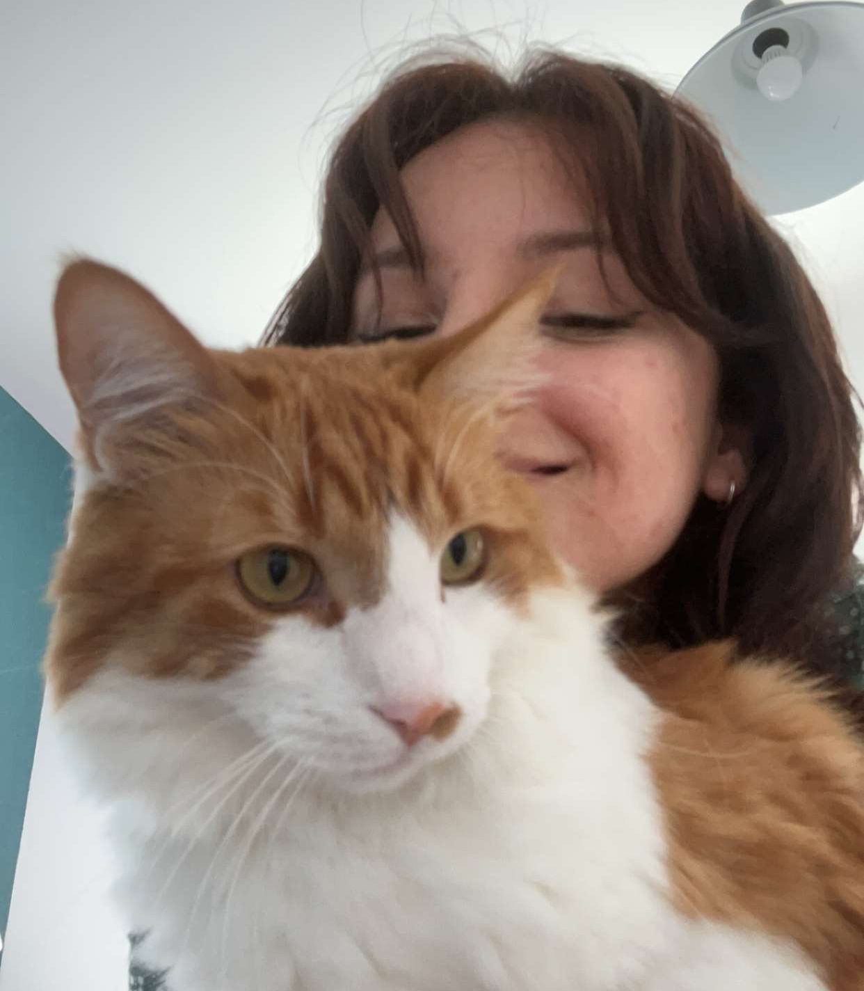 pet-sitter-chat-visite-domicile-litiere-nourriture-aix-marseille