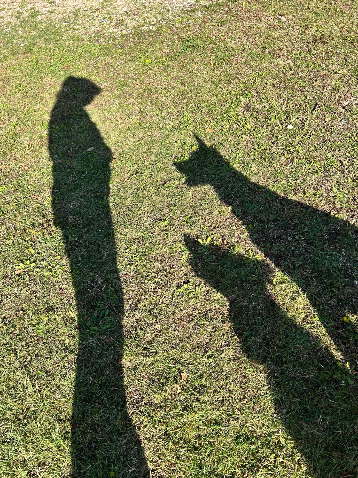 pet-sitter-visite-domicile-aix-marseille
