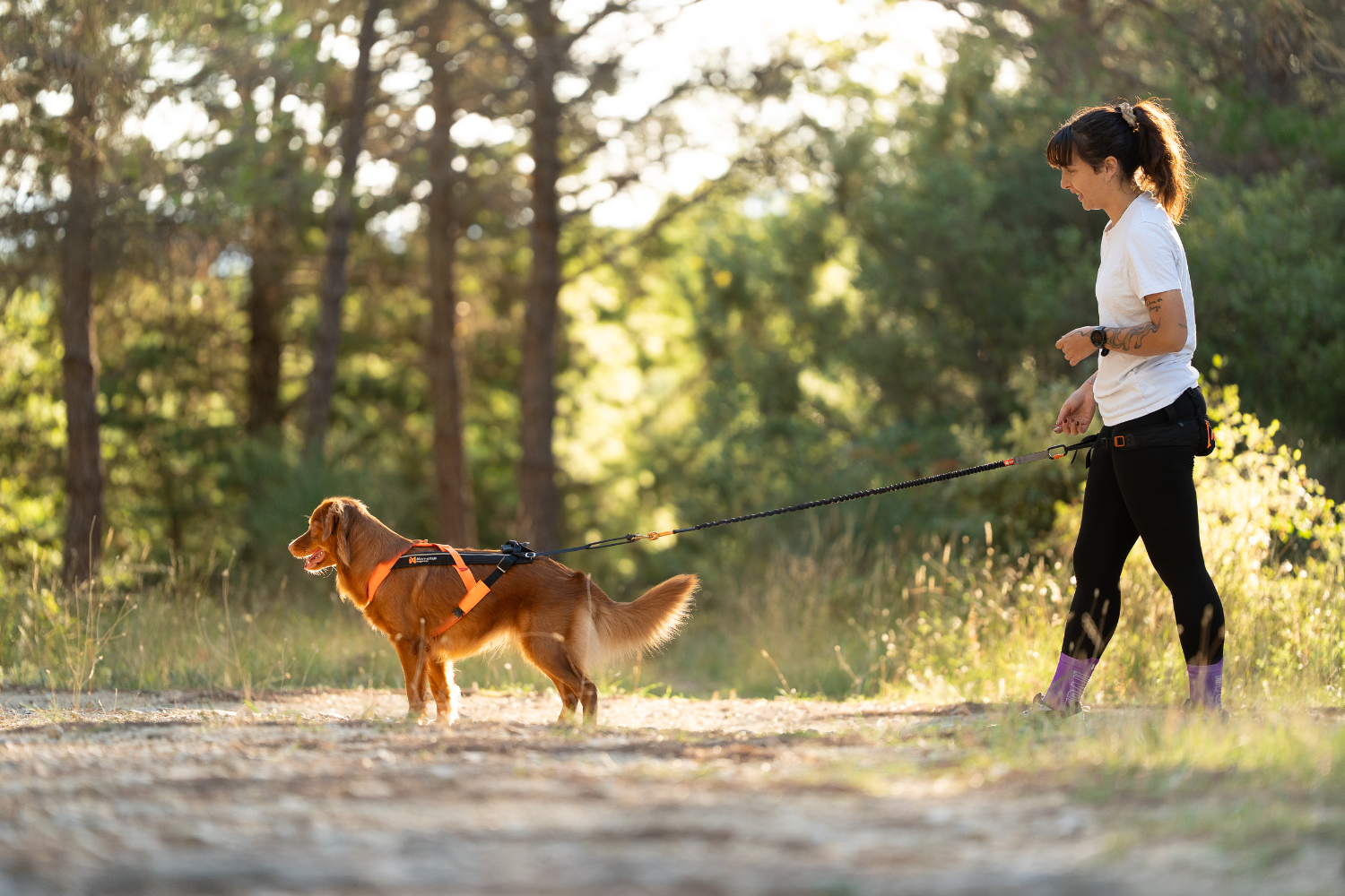 motiv-canine-decouverte-coaching-canicross-vitrolles-aix-marseille