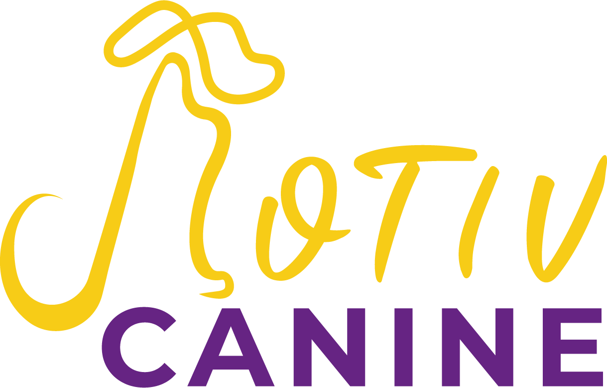 motiv-canine-logo-educatrice-canin-marseille-sports-canins-hoopers-canicross-vitrolles Logo de Motiv'Canine
